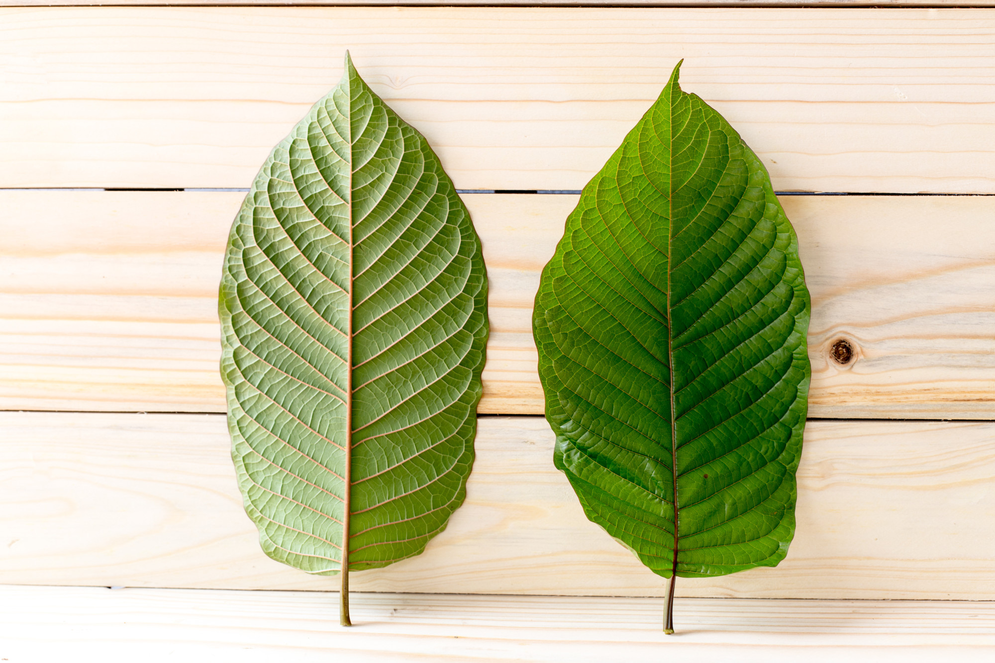 Kratom